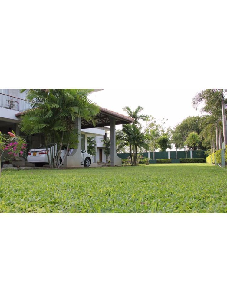 Lake Wind Hotel Tissamaharama Luaran gambar